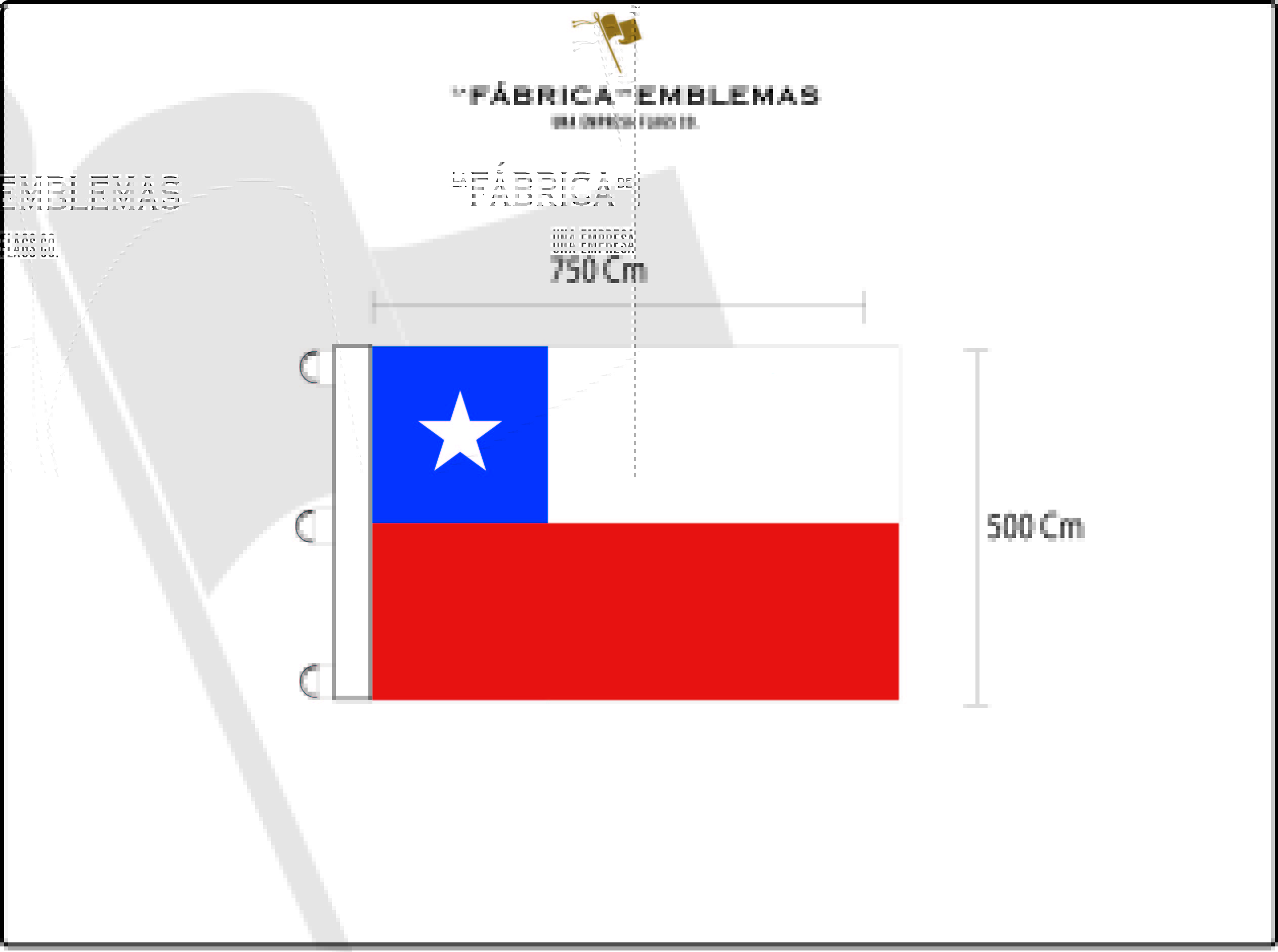plantilla lfde 500 x 750